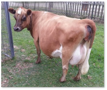 Tim O'Donnell, Dexter Corner photo