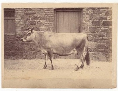 Jersey Island circa 1880