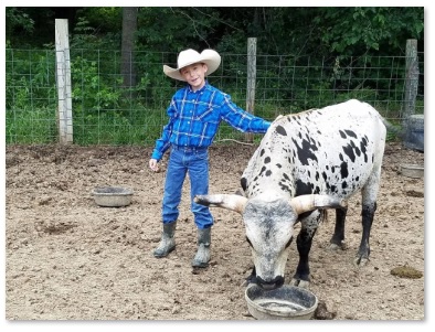 Mark Johnson - bucking bull